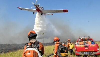 Para prevenção aos incêndios florestais em MS, novas regras para uso do fogo facilitam licenciamento