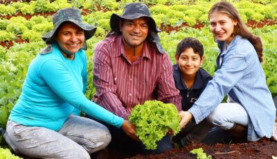 Novo recorde nas vendas da agricultura familiar é projetado após movimentação de R$ 5,1 milhões em M
