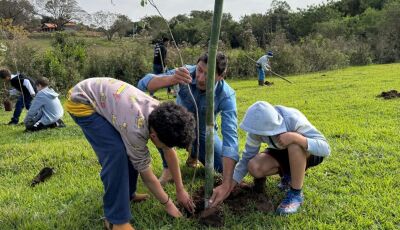 Educação ambiental: VICENTINA planta consciência para garantia de um futuro sustentável