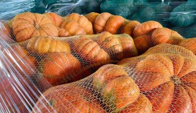 Na Ceasa de Mato Grosso do Sul, inverno aumenta procura por legumes que enriquecem caldos e sopas