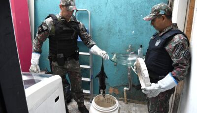 Polícia Militar Ambiental lembra que animal silvestre não é pet e esclarece quando deve ser capturad