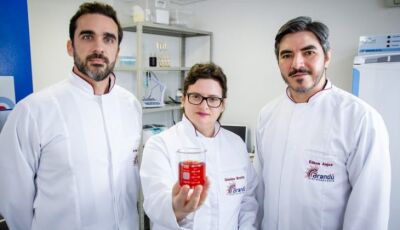 Políticas públicas para startups impulsionam inovação em MS, que se destaca nacionalmente