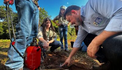 Tecnologia: sementes de inovação plantadas há um ano no Pantanal começam a dar frutos
