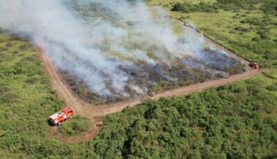 Governo de MS suspende queima controlada até novembro e amplia restrição no Pantanal para dezembro