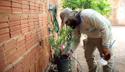 Boletim Epidemiológico: MS registra 7.865 casos confirmados de dengue