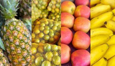 Explosão de cores e sabores: as frutas campeãs de vendas na Ceasa de Mato Grosso do Sul