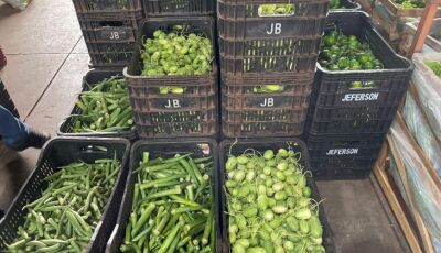 Mamão, quiabo, batata: saiba o que ficou mais barato na última semana de julho na Ceasa-MS