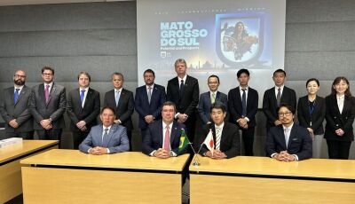 Governo de MS discute parcerias e novos investimentos com grandes conglomerados japoneses