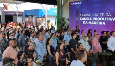 De estratégia a realidade: simplificação e visão de futuro ajudaram MS a consolidar Vale da Celulose