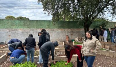 Fundect garante projeto em que aulas de matemática ganham vida com horta geométrica através do Picte