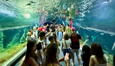 Bioparque Pantanal bate recorde de visitantes e consolida Campo Grande como novo destino turístico n