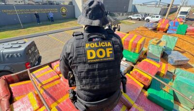 DOF apreende mais de 15 toneladas de maconha escondidas em carga de milho em MS