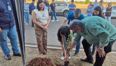 HR de Três Lagoas realiza plantio de árvores em ação de compromisso com o futuro sustentável