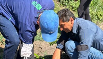 Educação ambiental: Vicentina faz aulas práticas de sustentabilidade