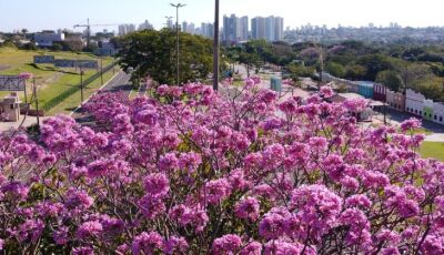 Mato Grosso do Sul lança planos estratégicos de turismo para Campo Grande dos Ipês e Vale das Águas