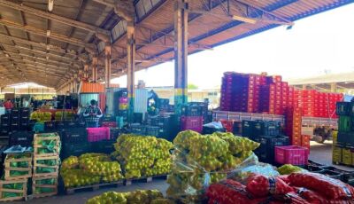 Mato Grosso do Sul amplia participação na Ceasa, com aumento de 18,78 % no volume comercializado
