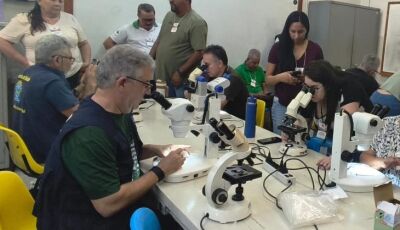 Coleta de vetores, testagem e alinhamento técnico: Saúde de MS antecipa combate à Febre Oropouche