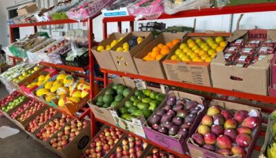 Frutas, verduras e sucesso: a Ceasa de MS que impulsiona negócios em todo o Estado