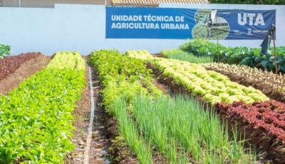 Hortifrutis doados pela Ceasa em MS matam a fome e viram adubo para a comunidade