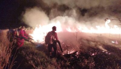 Operação Pantanal: atuação do Corpo de Bombeiros contribui para controle de incêndio em parque estad