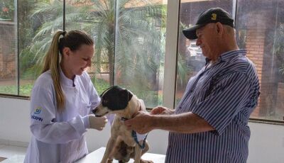 "Dia U" supera expectativas e vacina 400 animais na UNIGRAN