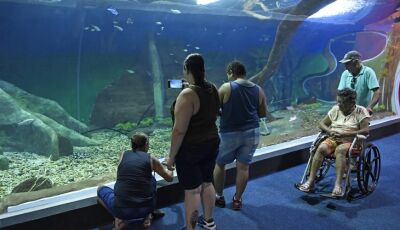 Bioparque Pantanal recebe selo internacional "ouro" por sustentabilidade e se destaca entre atrativo