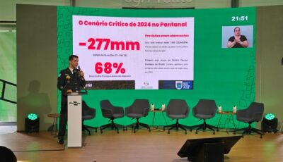 Resultados da maior operação de combate a incêndios já realizada no Pantanal são apresentados na COP