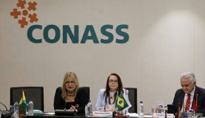 Secretária-adjunta de Saúde destaca desafios da Segurança Alimentar e Nutricional durante Assembleia