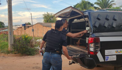Acusado estuprar adolescente de 15 anos em confraternização é preso em MS