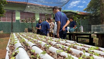 Do ar para a terra: escola estadual de MS transforma água de ar-condicionado em alfaces sustentáveis