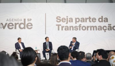 Painel Summit: Riedel e Tarcísio discutem economia verde e desenvolvimento sustentável em SP