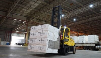 Celulose mantém liderança e exportações de MS crescem 4,24%  de janeiro a outubro de 2025