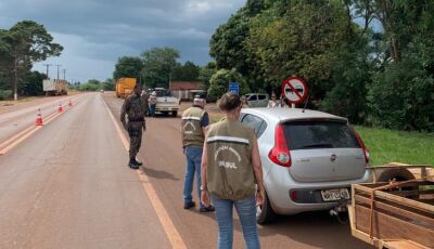 Piracema: com pesca proibida em MS até fevereiro do ano que vem, Imasul intensifica fiscalização