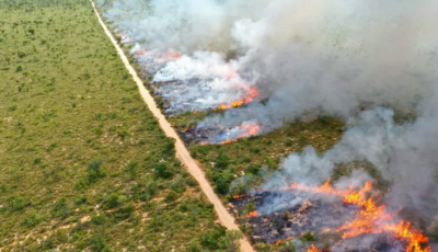 Seminário sobre Manejo Integrado do Fogo antecipa soluções de enfrentamento e prevenção a incêndios 
