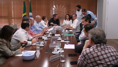 Governo de MS e bancada federal se reúnem para definir prioridades do Estado e demandas de projetos