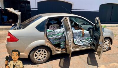 Polícia Civil apreende mais de meia tonelada de inseticida contrabandeado em ação na fronteira