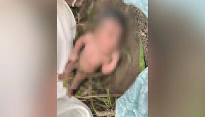 Moradores ouvem choro e acham recém-nascida abandonada em formigueiro