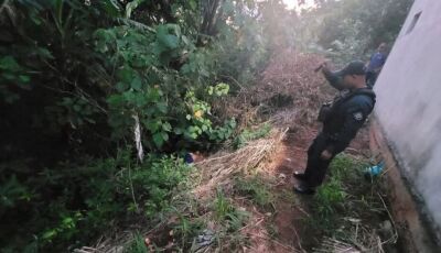 Corpo de mulher é encontrado próximo a córrego 