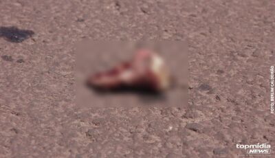 Motociclista tem perna amputada em batida com carreta no macronanel no Indubrasil
