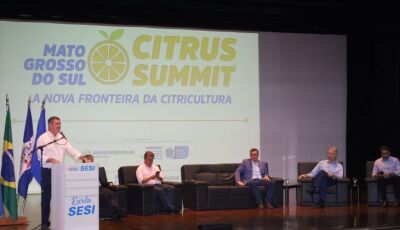 Com apoio do Estado e ambiente positivo, citricultura de MS avança como nova fronteira agrícola bras