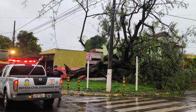 Rajada de vento derruba árvores e destelha casas em Dourados