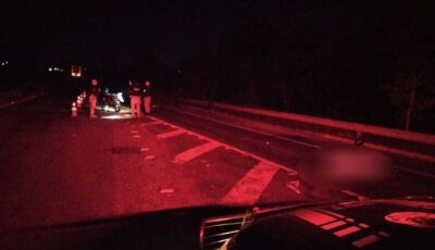 Motociclista que morreu após bater em capivara tinha 33 anos