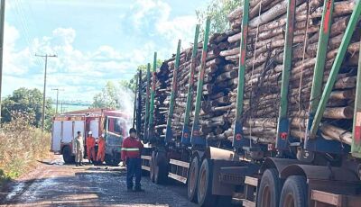 Carreta com carga de eucalipto pega fogo e mobiliza Corpo de Bombeiros