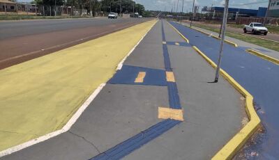 Revitalização de calçadas dá novo aspecto visual para avenida em Vicentina