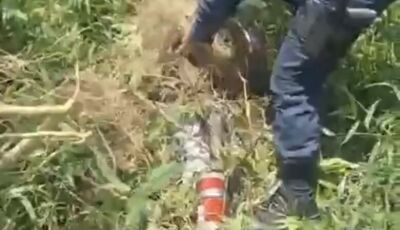 Moto furtada é encontrada escondida debaixo de galhos em mata