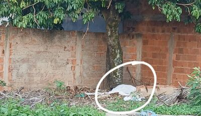 Mulher é encontrada morta em terreno baldio