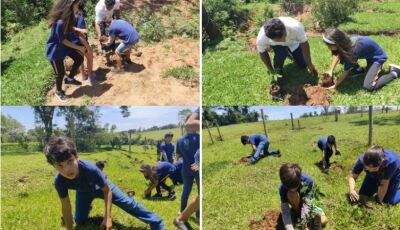 Educação ambiental: Vicentina continua plantando consciência para colher cidadania