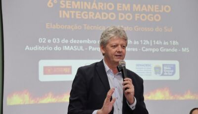 'Cada hectare importa', diz secretário ao citar redução de área queimada no Pantanal durante Seminár
