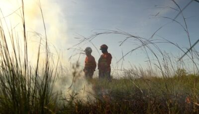 Operação Pantanal 2025 apresenta balanço com redução expressiva em focos de incêndios e hectares 