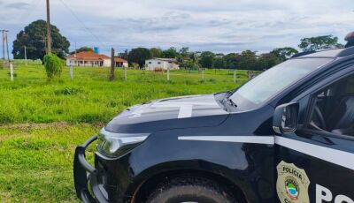 Polícia Civil prende homem por posse ilegal de armas, violência doméstica e crime ambiental